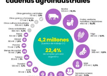Las cadenas agroindustriales generan el 22% del empleo privado en Argentina
