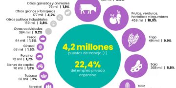 Las cadenas agroindustriales generan el 22% del empleo privado en Argentina