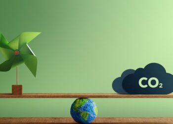 Argentina busca posicionarse como líder regional en el mercado de créditos de carbono