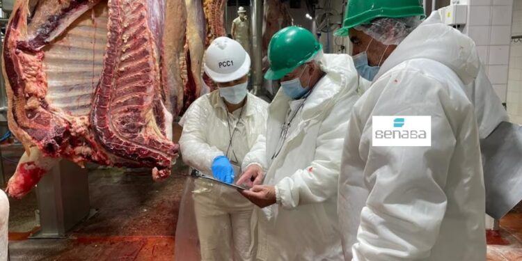 Senasa, un “pilar sanitario fundamental” para la producción y el comercio de la carne vacuna