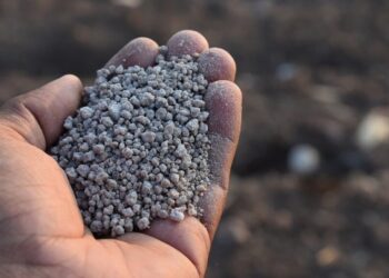 Fertilizantes: con importaciones en altos niveles, estiman que la demanda repuntará 7% en 2025