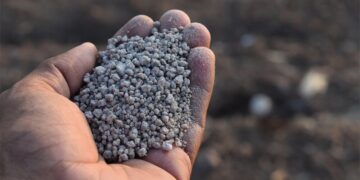 Fertilizantes: con importaciones en altos niveles, estiman que la demanda repuntará 7% en 2025