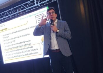 “Todos estamos discutiendo retenciones y no vemos el iceberg: los saldos técnicos de IVA”