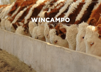 La revolución silenciosa del feedlot: tecnología, datos y eficiencia en tiempo real