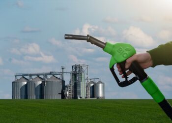 Crisis del biodiésel: plantas paralizadas y exportaciones en mínimos históricos