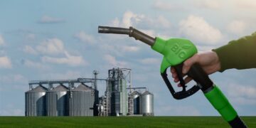 Crisis del biodiésel: plantas paralizadas y exportaciones en mínimos históricos