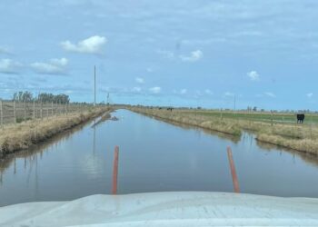 Emergencia hídrica en Nueve de Julio: preocupación por los campos anegados y la falta de caminos