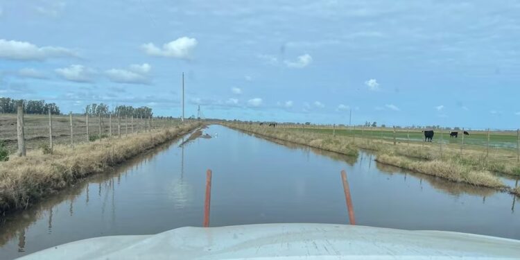 Emergencia hídrica en Nueve de Julio: preocupación por los campos anegados y la falta de caminos
