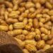 Argentina se posicionó como el mayor exportador de maní del mundo