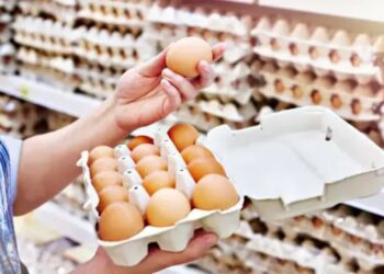 El consumo de huevo en la Argentina alcanzó una cifra histórica: 380 unidades por habitante