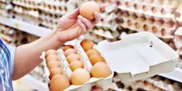 El consumo de huevo en la Argentina alcanzó una cifra histórica: 380 unidades por habitante