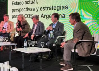 Recarbonizar el suelo: estrategias clave para mejorar los rendimientos agrícolas