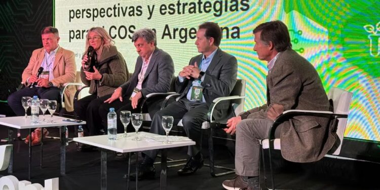 Recarbonizar el suelo: estrategias clave para mejorar los rendimientos agrícolas