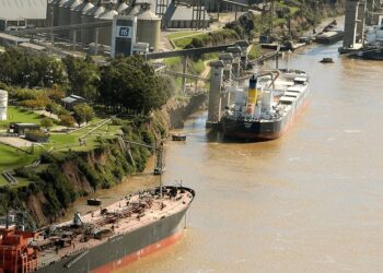 Los barcos hacen fila en el Gran Rosario: la soja argentina, en un mini “boom” exportador