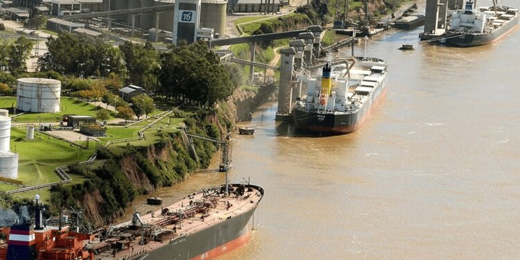 Los barcos hacen fila en el Gran Rosario: la soja argentina, en un mini “boom” exportador