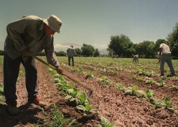 El Renatre aumentó nuevamente la prestación por desempleo: llegará hasta $ 300.000 en octubre