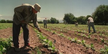 El Renatre aumentó nuevamente la prestación por desempleo: llegará hasta $ 300.000 en octubre