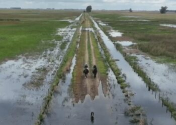“Nos estamos ahogando”: la carta a Milei de productores inundados que ruegan por una ayuda