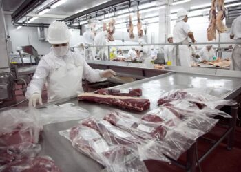Exportaciones con sello argentino: más de 50% de crecimiento en el primer semestre de 2025