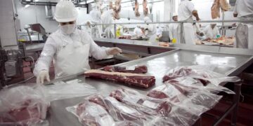 Exportaciones con sello argentino: más de 50% de crecimiento en el primer semestre de 2025