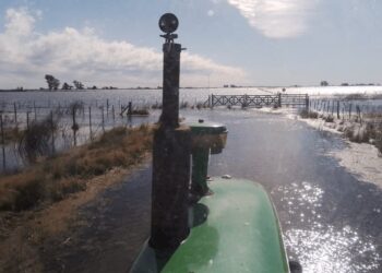 Riesgo agropecuario: la tormenta de Santa Rosa traería más lluvias intensas en zonas con excesos