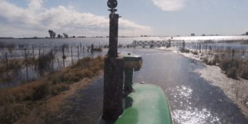 Riesgo agropecuario: la tormenta de Santa Rosa traería más lluvias intensas en zonas con excesos