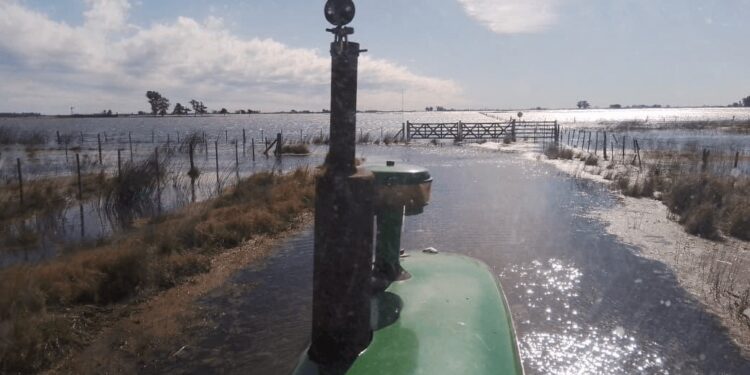 Riesgo agropecuario: la tormenta de Santa Rosa traería más lluvias intensas en zonas con excesos