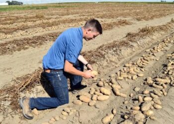 Alerta: el anuncio de Milei no alcanzó y se deteriora la confianza de los productores agropecuarios