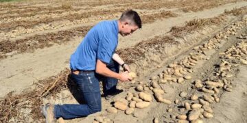 Alerta: el anuncio de Milei no alcanzó y se deteriora la confianza de los productores agropecuarios