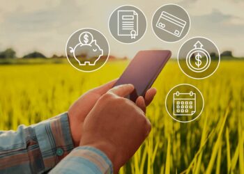 El crédito para el agro se pinta de verde: los préstamos en dólares crecieron 133% en un año