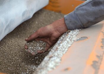 El trigo y el maíz alimentan las expectativas de una gran campaña: crece la inversión en fertilizantes
