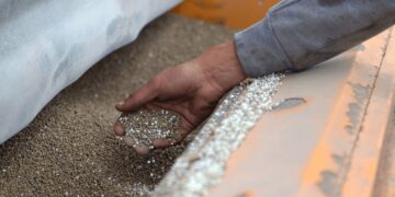 El trigo y el maíz alimentan las expectativas de una gran campaña: crece la inversión en fertilizantes