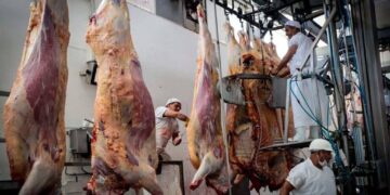 Los frigoríficos no logran disfrutar la mayor actividad: suba de costos, baja del cuero y “competencia desleal”