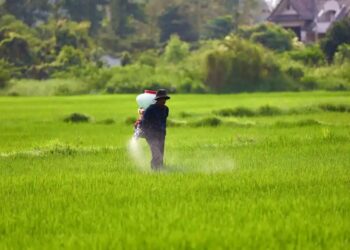 De enero a junio se importaron 770.000 toneladas de fertilizantes