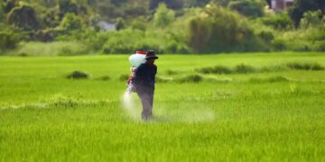 De enero a junio se importaron 770.000 toneladas de fertilizantes