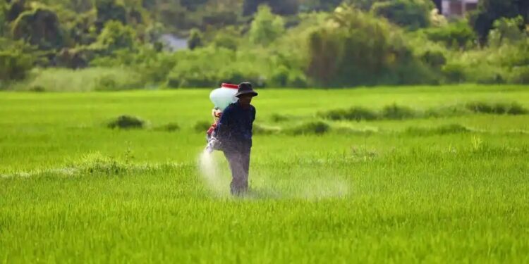 De enero a junio se importaron 770.000 toneladas de fertilizantes