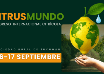 Desde España a Tucumán: claves para una nutrición moderna de los cítricos
