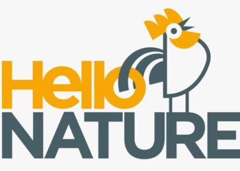 Hello Nature: innovación y sustentabilidad para el futuro del citrus en Argentina
