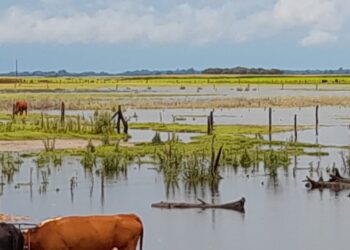 Inundaciones: CRA alertó sobre la crisis hídrica y reclamó “urgentes obras de infraestructura”