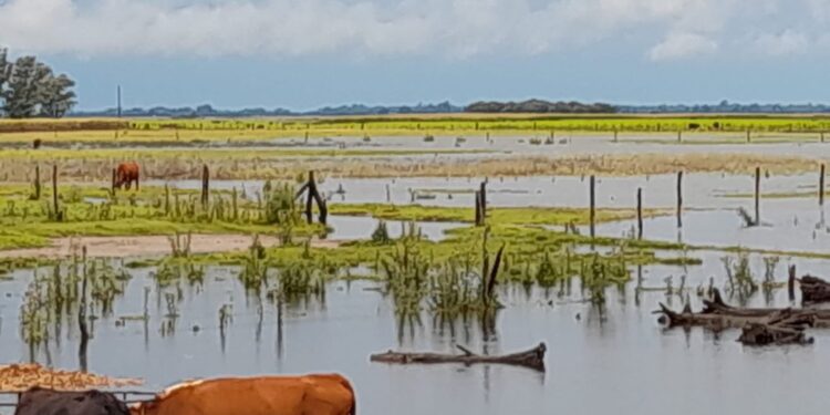 Inundaciones: CRA alertó sobre la crisis hídrica y reclamó “urgentes obras de infraestructura”
