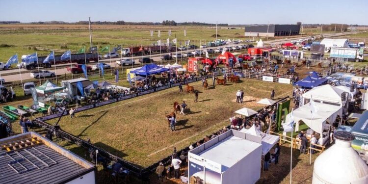 Con predio renovado, los Angus se preparan para su festejo de primavera en Cañuelas
