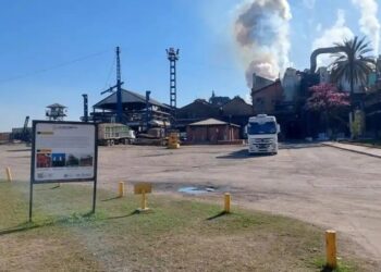 El Ipaat difundió números parciales de la zafra 2025 en la región