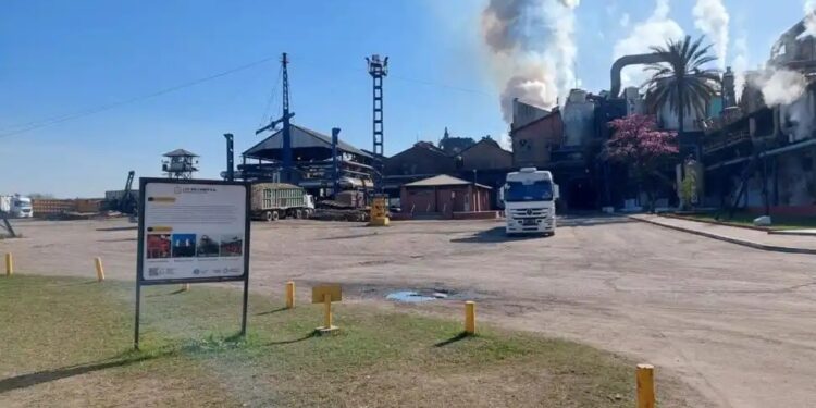 El Ipaat difundió números parciales de la zafra 2025 en la región