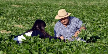 Argentina celebra el Día del Agricultor y del Productor Agropecuario: ¿por qué es el 8 de septiembre?