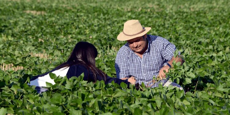 Argentina celebra el Día del Agricultor y del Productor Agropecuario: ¿por qué es el 8 de septiembre?