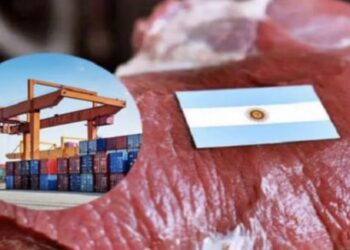 Carne argentina: 800 mil madres menos, y stock en retroceso
