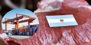 Carne argentina: 800 mil madres menos, y stock en retroceso