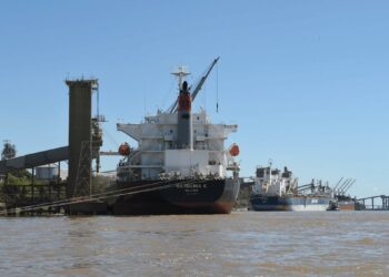Agosto “histórico”: por qué el trigo marca récord de exportaciones en un momento atípico del año