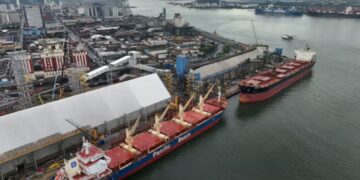 China construye una gran terminal en Brasil y amenaza el negocio agrícola de Estados Unidos