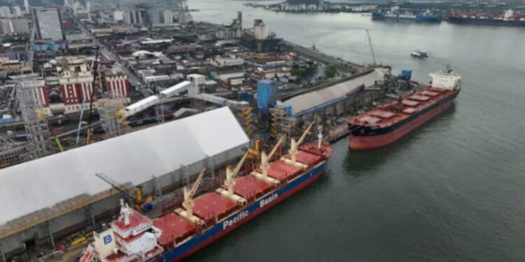 China construye una gran terminal en Brasil y amenaza el negocio agrícola de Estados Unidos